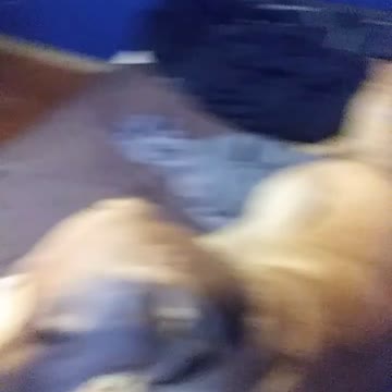 aww cate are so cute and people suck ass 😂