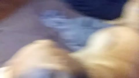 aww cate are so cute and people suck ass 😂