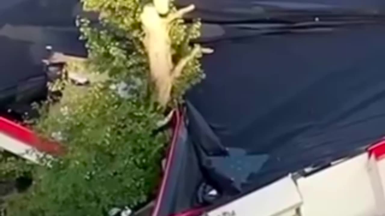 Imagine That You Know