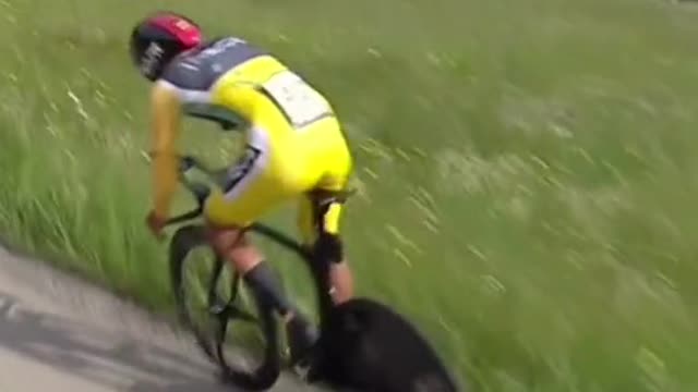 omg!! dangerous cycling #cycle #bike #bikes #rider #cycling #vedio