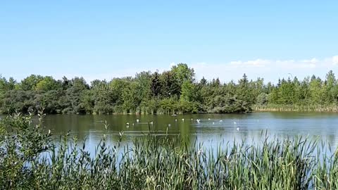 Cero ethics at work now at days.