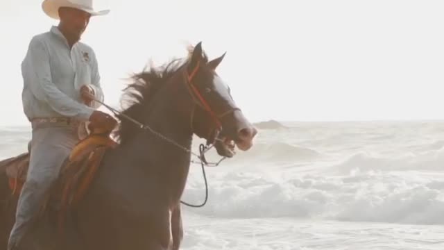 NO this isn’t a sponsored Old Spice commercial haha 😂 but wow what an epic clip!!!