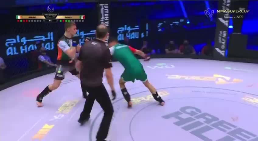 MMA Fighter Brutally KNOCKS OUT Referee With Botched Rolling Thunder Kick