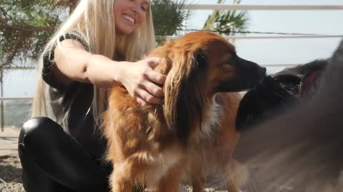 Girl smiling and petting dogs