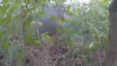 Ukrainian soldiers assaulting a trench