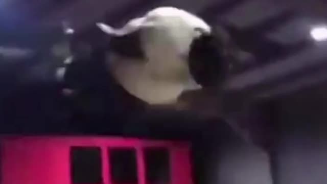 Funny Moments