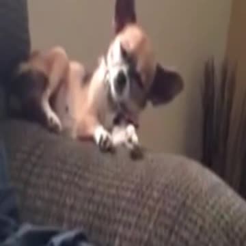 Funny kittens dancing beautiful #shorts