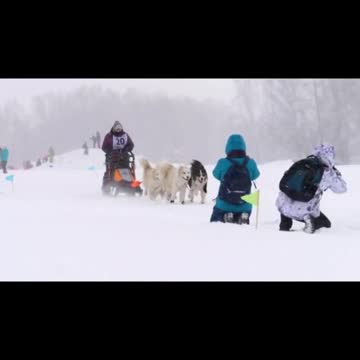 🤣Funny Dog Videos 2020🤣 🐶 It's time to LAUGH with Dog's life