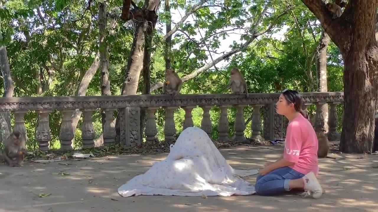 Fake Tiger Prank Monkeys Flipped Out Very FUNNY