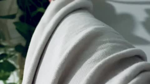 Chameleon Goes For A Walk