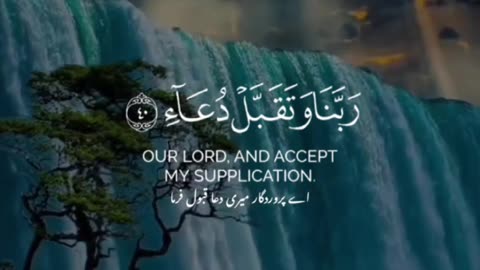 #Dua #Quran #Islam #recite #2k24