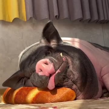 Reminds me a buddy I could hear across the street