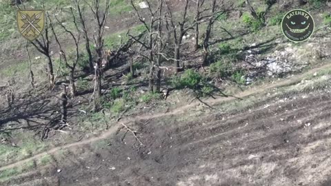 Perfect Mortar Strike on a Russian Trench