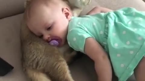 The cat loves the owner! Dear children!