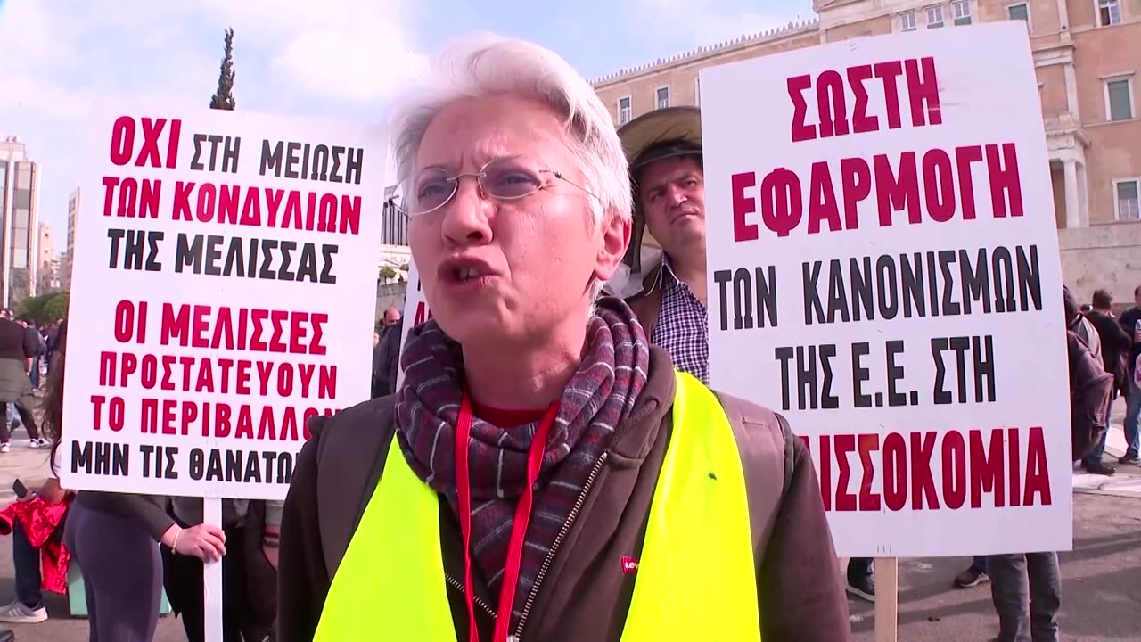 Greek beekeepers take hives to parliament in protest