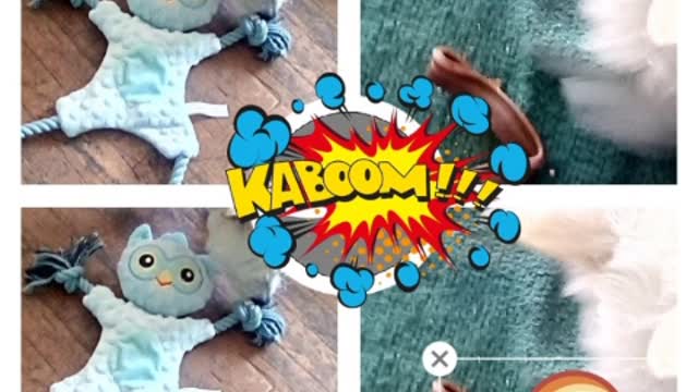 today video