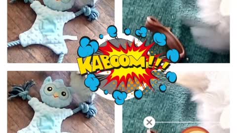 today video