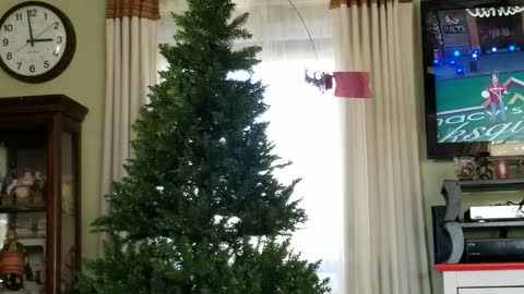 Best Christmas Tree Topper EVER!