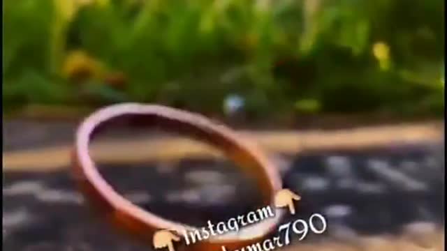 New WhatsApp Status