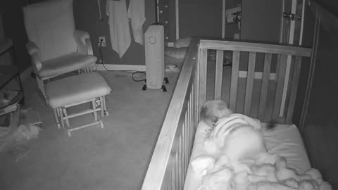 This baby realized today that he can climb out of his crib. Someone save this man.