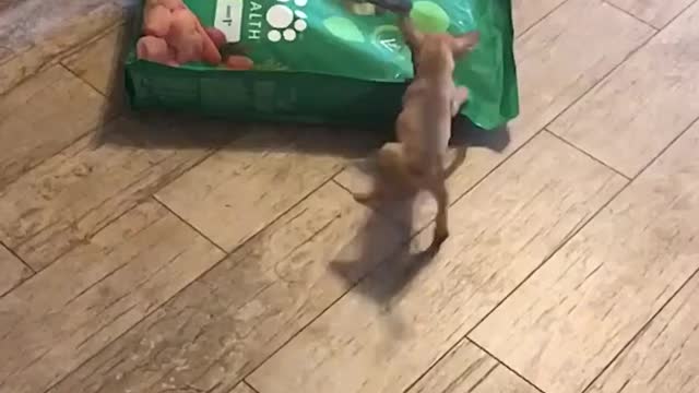 You can get away, it's all mine.