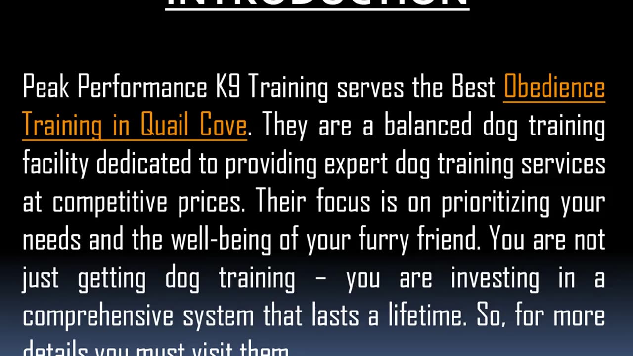 Best Puppy Training in Quail Cove