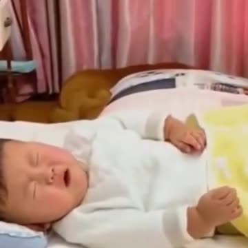 Hilariously Cute Kittens & Pups 2021- 10 (1)