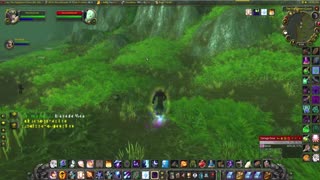 World of Warcraft Classic Shadow helps Wife level up her Paladin