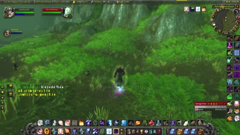 World of Warcraft Classic Shadow helps Wife level up her Paladin