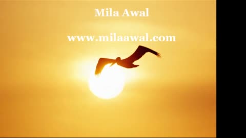 I Can See More Clearly Now 9/1/22