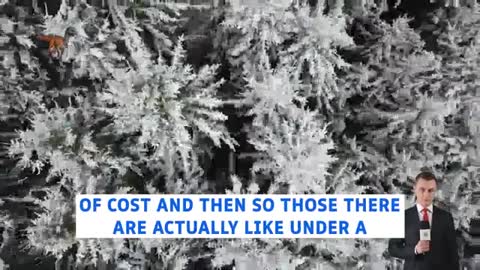 UPDATES TODAY 𝐑𝐄𝐒𝐓𝐎𝐑𝐄𝐃 𝐑𝐄𝐏𝐔𝐁𝐋𝐈𝐂 𝐕𝐈𝐀 𝐀 𝐆𝐂𝐑 𝐔𝐏𝐃𝐀𝐓𝐄 𝐎𝐅 𝐉𝐔𝐋𝐘 𝟐6, 𝟐𝟎𝟐𝟐.