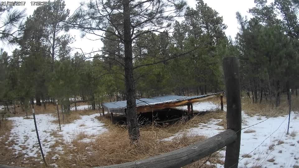 What is this structure in the woods?