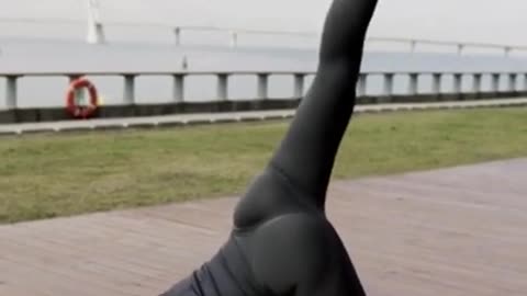 Daily Legs Exercise for Fitness