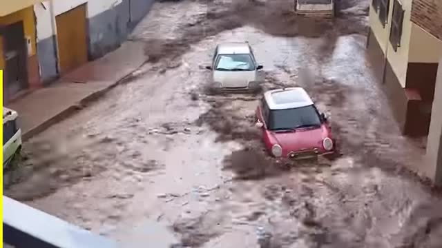 Nature can be BRUTAL!