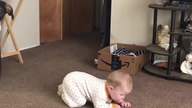 Learning to crawl