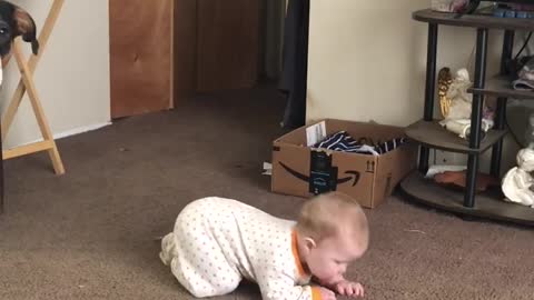 Learning to crawl