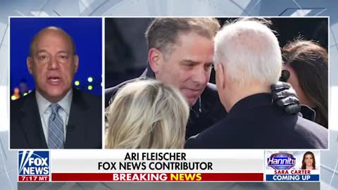 McEnany: The liberal media's DNC talking point about Hunter Biden