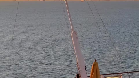 Carvinal Breeze