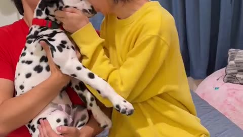 Twins Bought the World's Rarest Puppy #Funny Video #pets