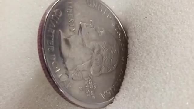 Quarter reject