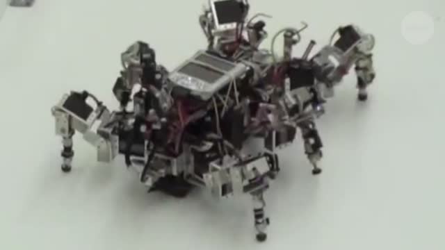 "Swarms of injectable robots" - Nature Mag -- WHO KNEW, EH?
