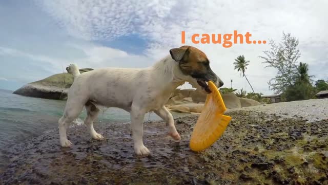# I caught...#