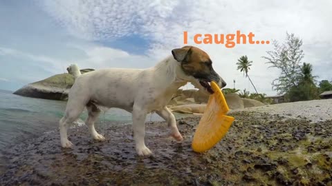 # I caught...#