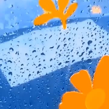 Amazon Kitchen products Smart gadgets & items for every home # 42 "Gr liton Home Gadgets"