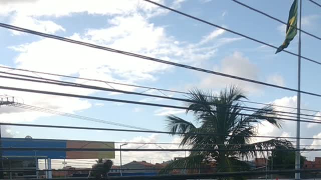 Monkey strolling on a wire