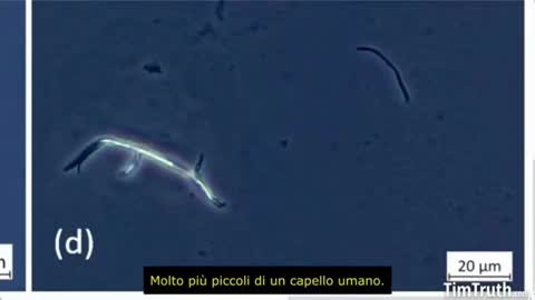 Nuove analisi al microscopio di un campione di Covidvaccine di Pfizer-BioNTech.