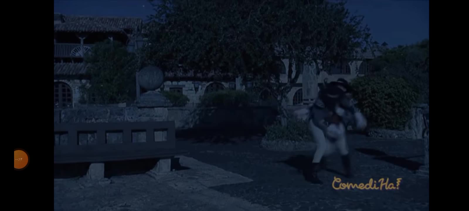 Zoro's beating