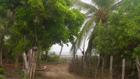MARVELOUS VIEWS OF MEXICO