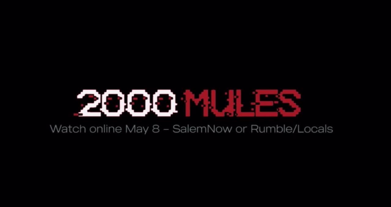 BOOM! Dinesh D’Souza’s 2000 Mules is Election Porn!