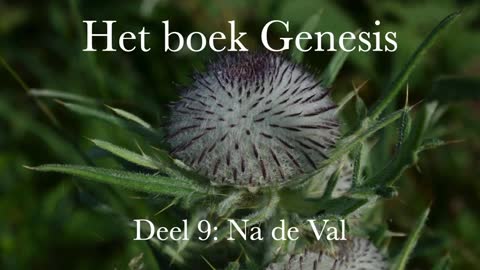 Kees Fieggen - Studie Genesis - Deel 8 - Adam en Christus